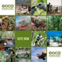 eoca voting project